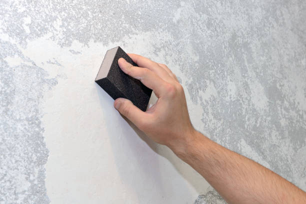 Best Asbestos and Lead Testing During Mold Inspection  in Joshua Tree, CA