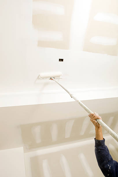 Joshua Tree, CA Mold Removal Company