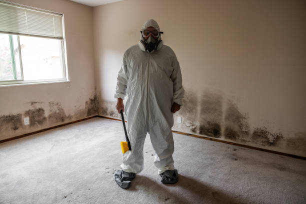 Mold Removal for HVAC Installations in Joshua Tree, CA
